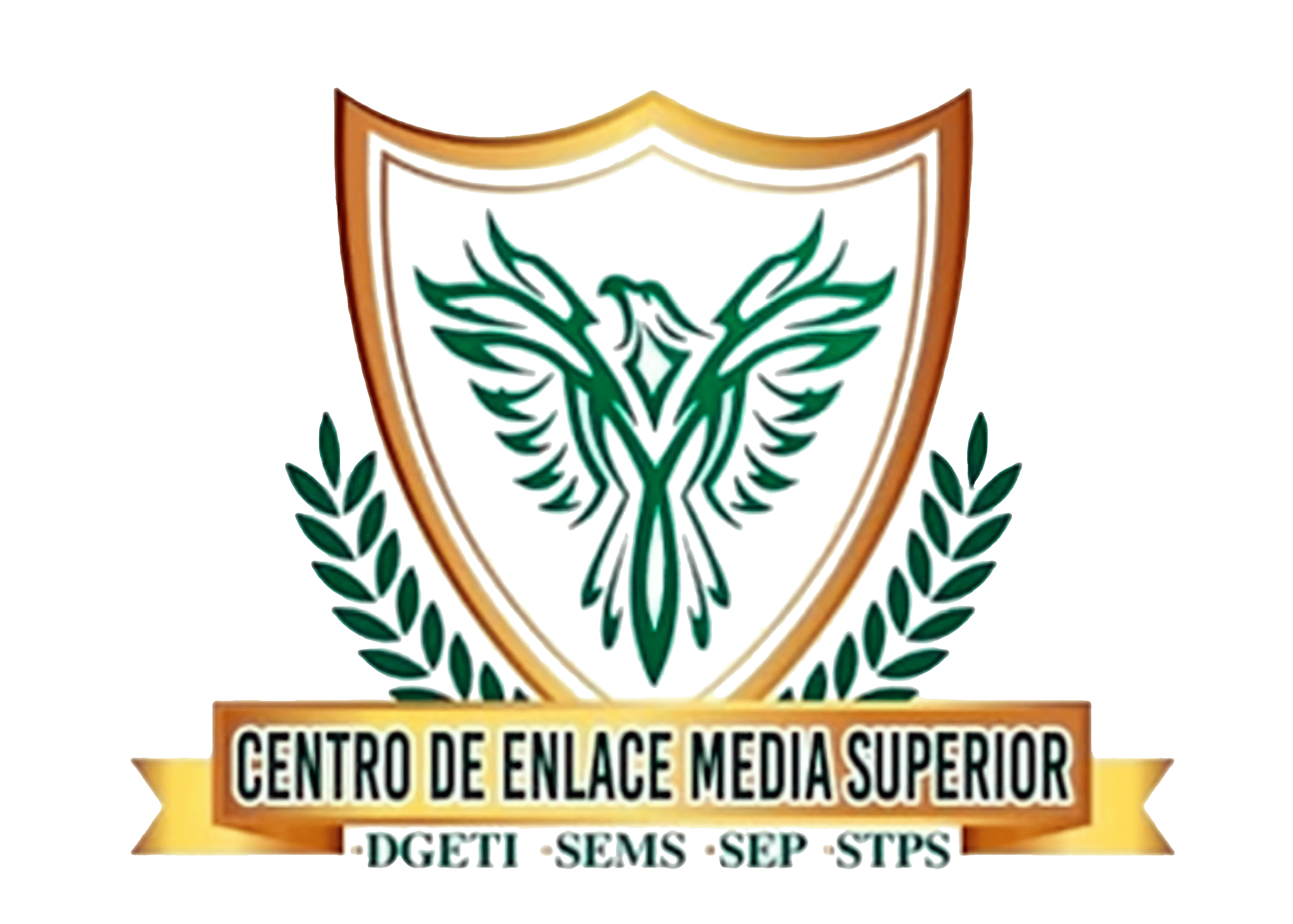 CEMS logo